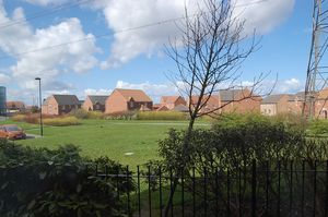 Brookfield West Allotment